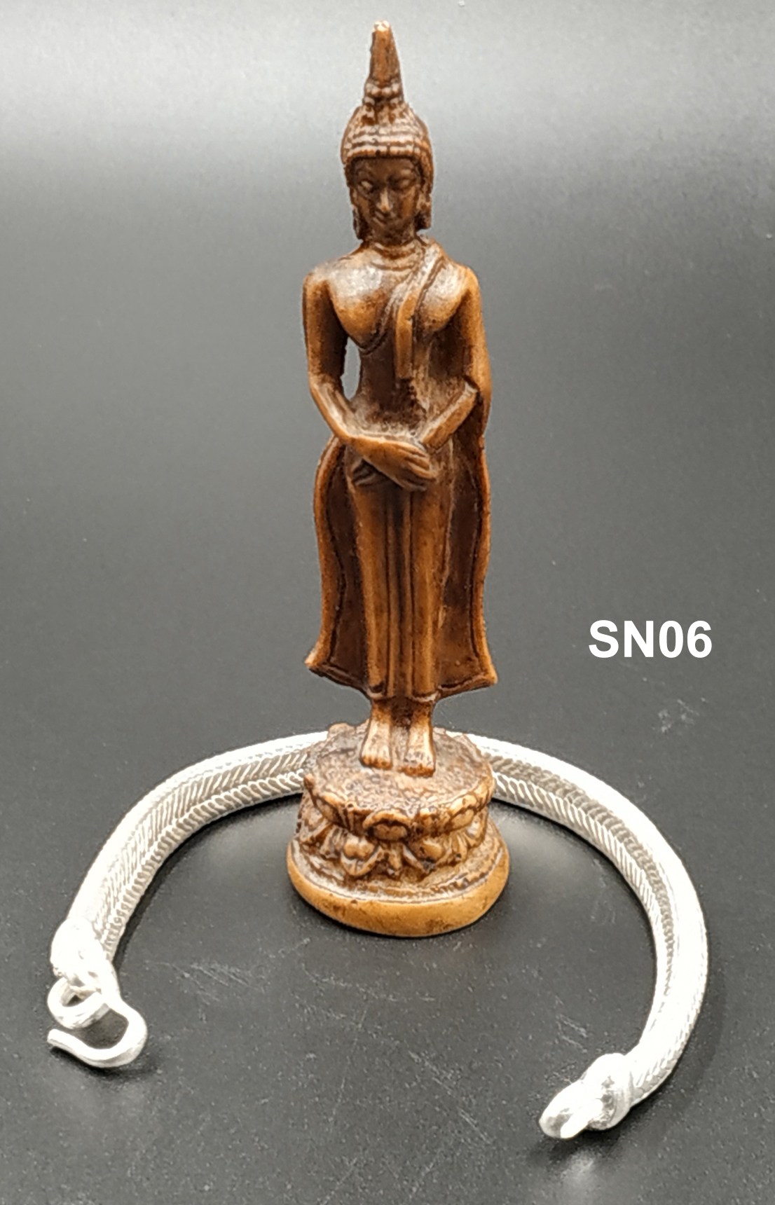 sn06
