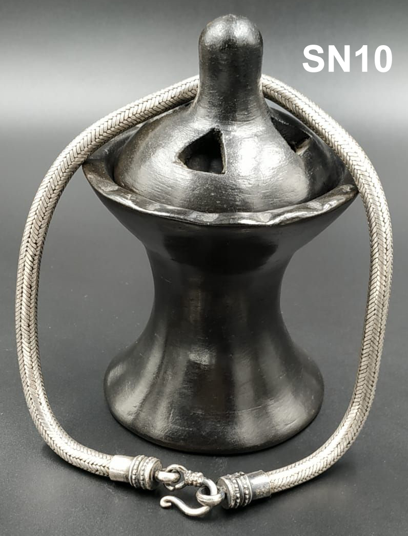 sn10